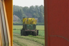 Groente transport